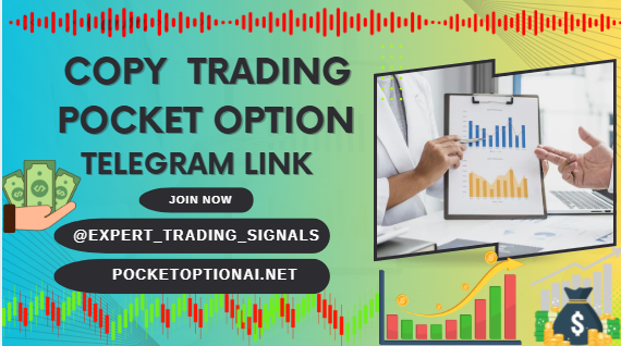 Copy Trading Pocket Option Telegram Link