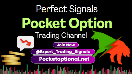Free Signals Pocket Option Vip Channel